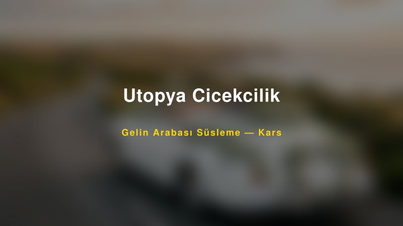 Utopya Cicekcilik Kars Gelin Arabası Süsleme